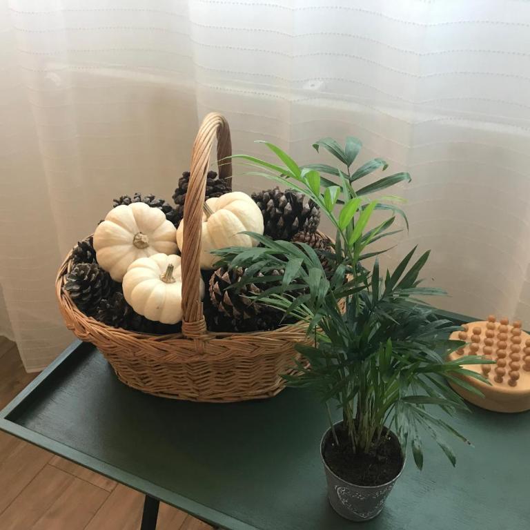 Aux Trompettes Violettes - Apartamento de 1 dormitorio - 54