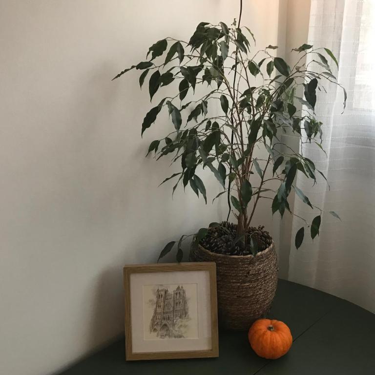 Aux Trompettes Violettes - Apartamento de 1 dormitorio - 42