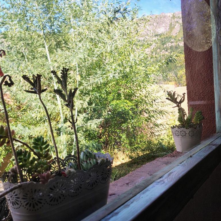 Mi Casa Tu Casa D - Habitación Doble con vistas al parque - 22