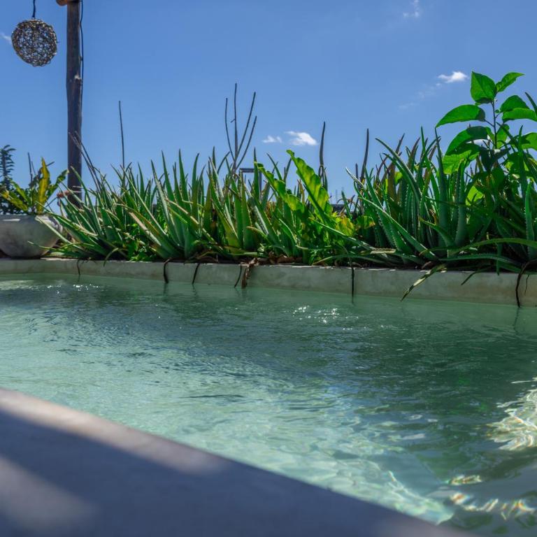 Teva Tulum, Aldea Zamá - Apartamento Ático - 25