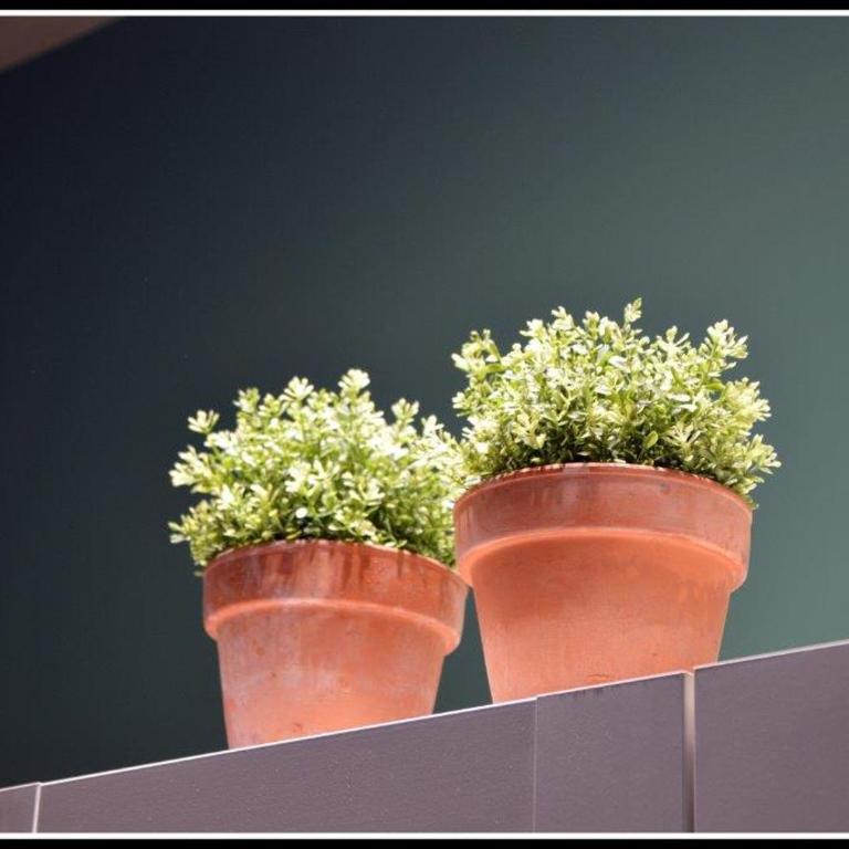 Palazzina Magnolia - Appartamento Superior - 4