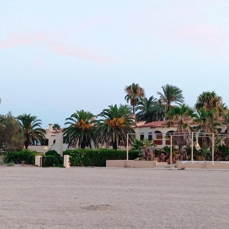 Costa de la Calma Elconserje - Bungalow de 2 dormitorios - 3