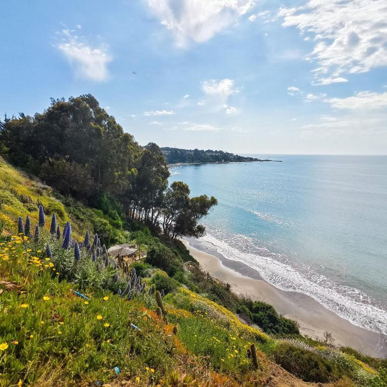 Vista al mar, acceso a la playa y jardín - Apartamento con vistas al mar - 55