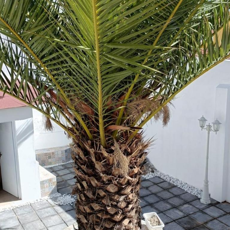 A house with a garden, garage, sauna, and jacuzzi - Casa de 2 dormitorios - 2