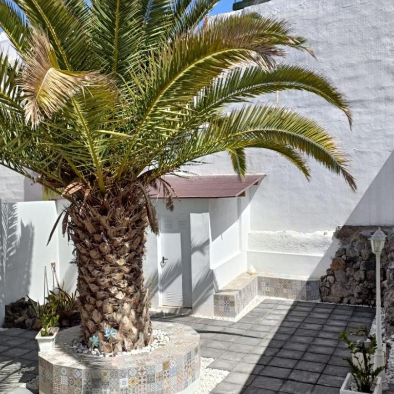 A house with a garden, garage, sauna, and jacuzzi - Casa de 2 dormitorios - 31