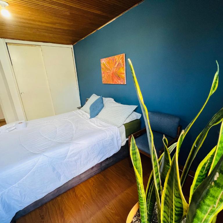 Habitaciones Pet friendly junto a Clinica Santa Fe - Habitación Doble Deluxe con ducha - 1