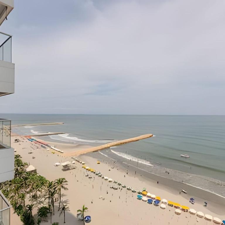 Spectacular 3 Bedroom Apt Palmetto Beach 1201 - Apartment - 34