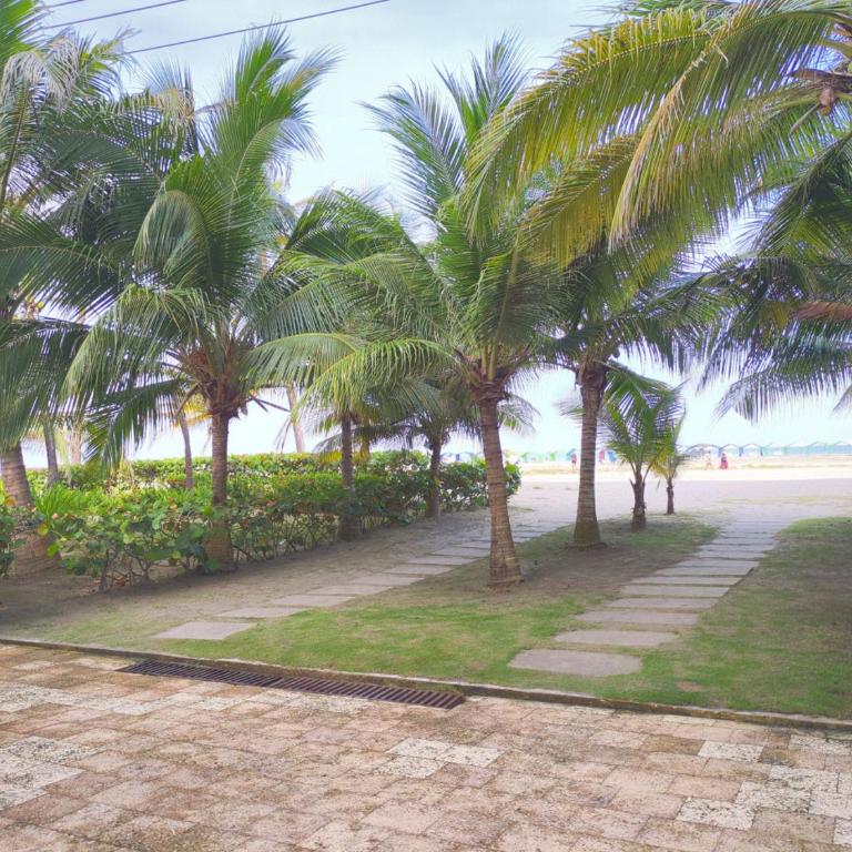 Bizsar Mar 4 Piscinas Acceso privado playa BBQ privado - Apartment - 24