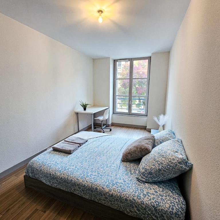 Appartement T3 lumineux - Centre Saint-Étienne - Apartamento de 2 dormitorios - 12