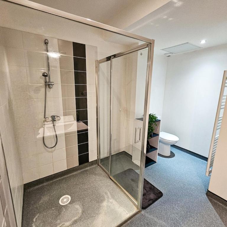 Appartement T3 lumineux - Centre Saint-Étienne - Apartamento de 2 dormitorios - 18