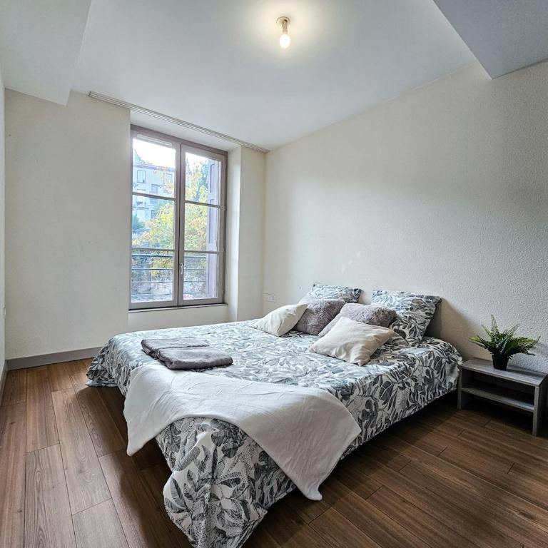 Appartement T3 lumineux - Centre Saint-Étienne - Apartamento de 2 dormitorios - 30