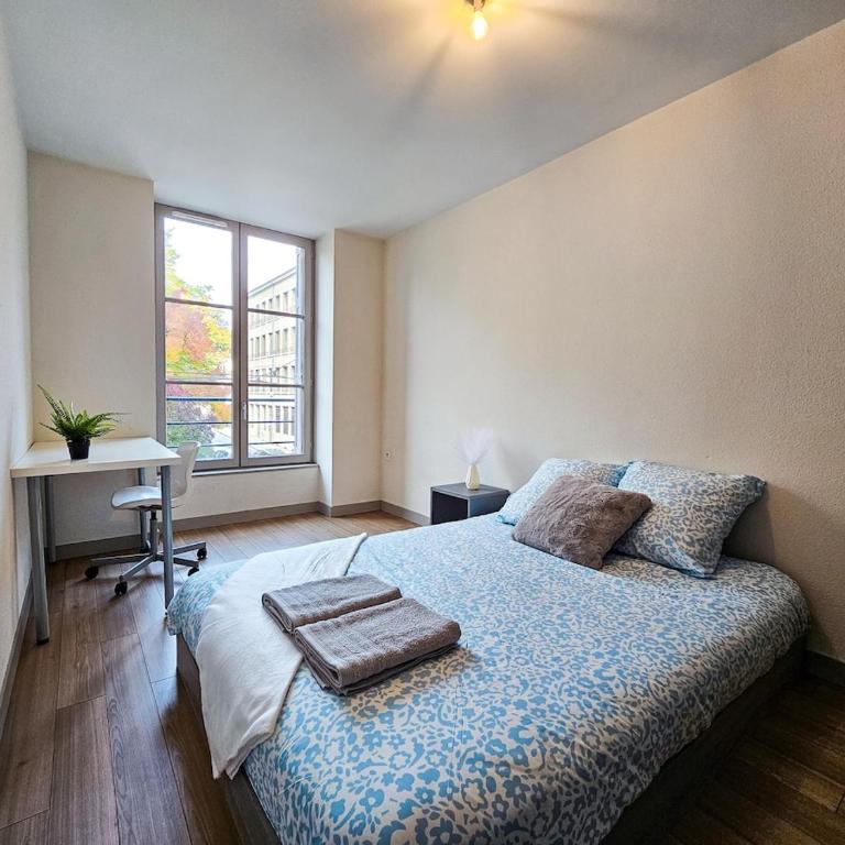 Appartement T3 lumineux - Centre Saint-Étienne - Apartamento de 2 dormitorios - 10