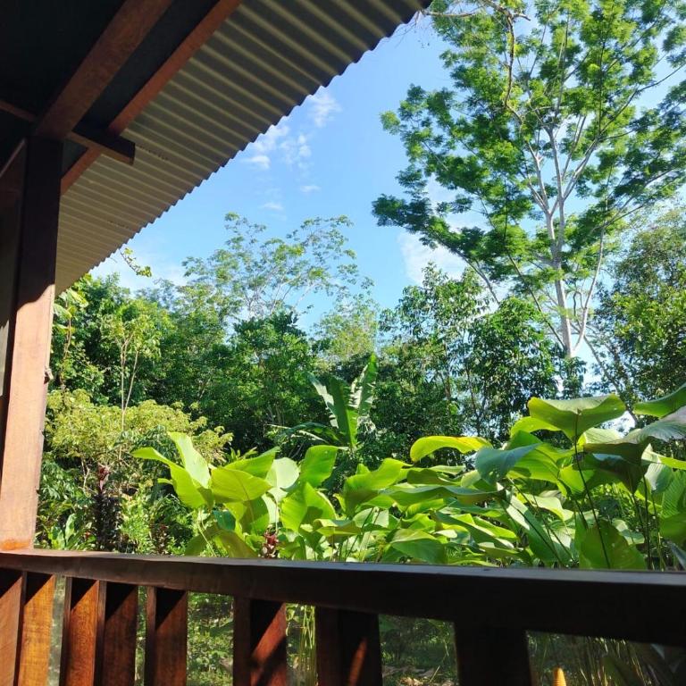 JARDIN DE LAS MUSAS - Cabaña con vistas al jardín - 23