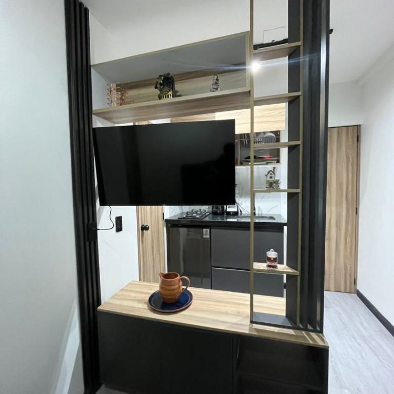 Cozy room with bathroom and private kitchen - One-Bedroom Apartment - 6