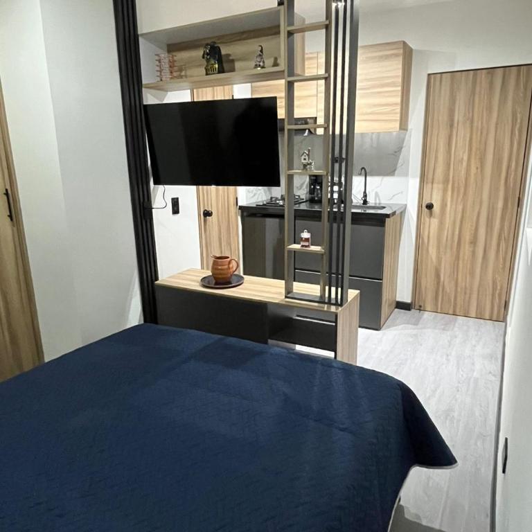 Cozy room with bathroom and private kitchen - One-Bedroom Apartment - 8