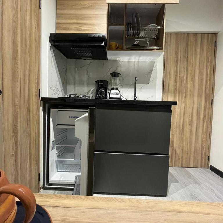 Cozy room with bathroom and private kitchen - One-Bedroom Apartment - 9