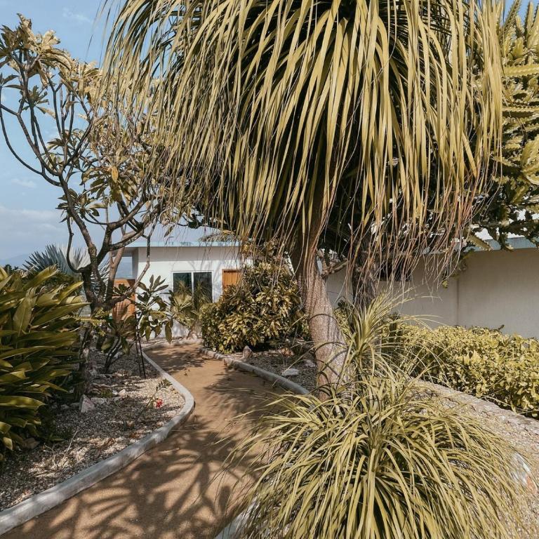 Casa Cumbres - Ocean View - Villa - 27