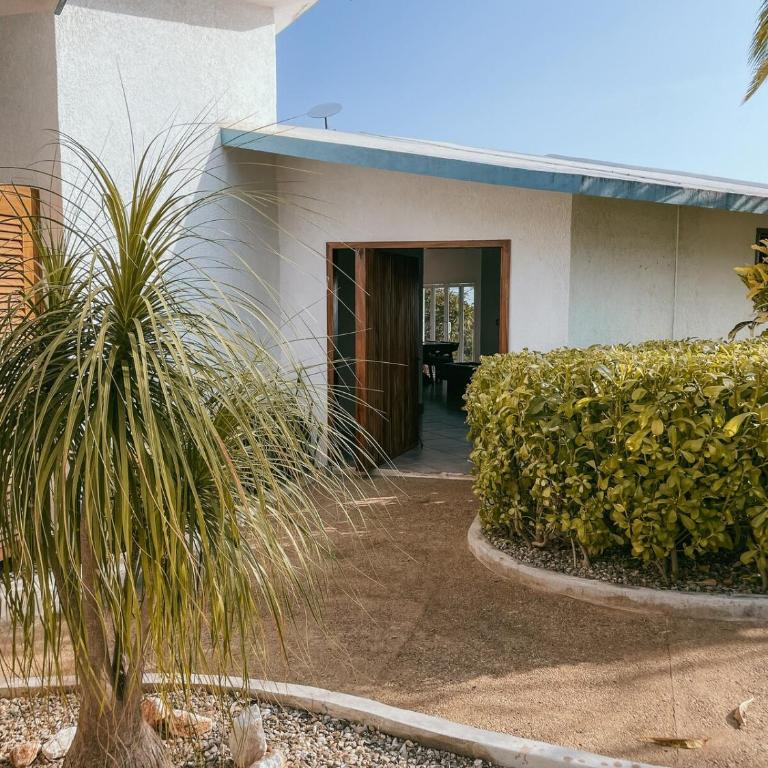 Casa Cumbres - Ocean View - Villa - 48