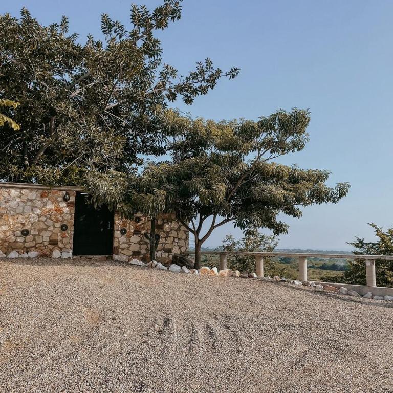 Casa Cumbres - Ocean View - Villa - 53