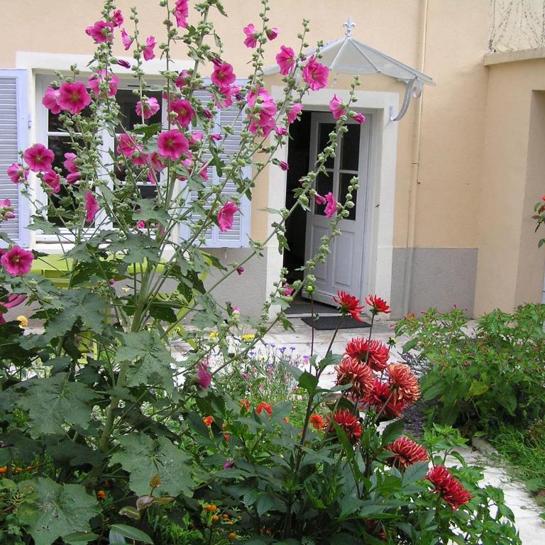 Le Jardin croix Roussien - Appartement - Vue sur Jardin - 31