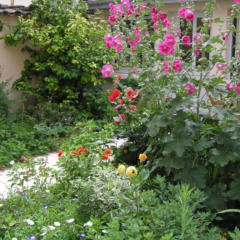 La petite Maison dans la Croix Rousse - Studio avec Vue sur Jardin - 36