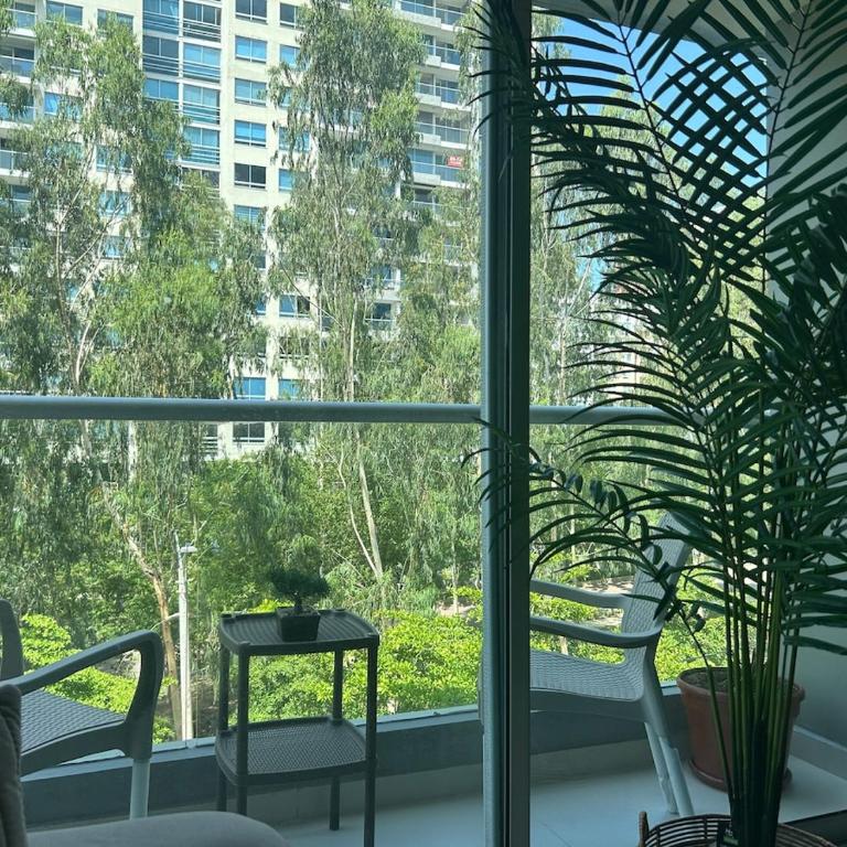 Confortable Apartamento - Apartamento de 3 dormitorios - 19