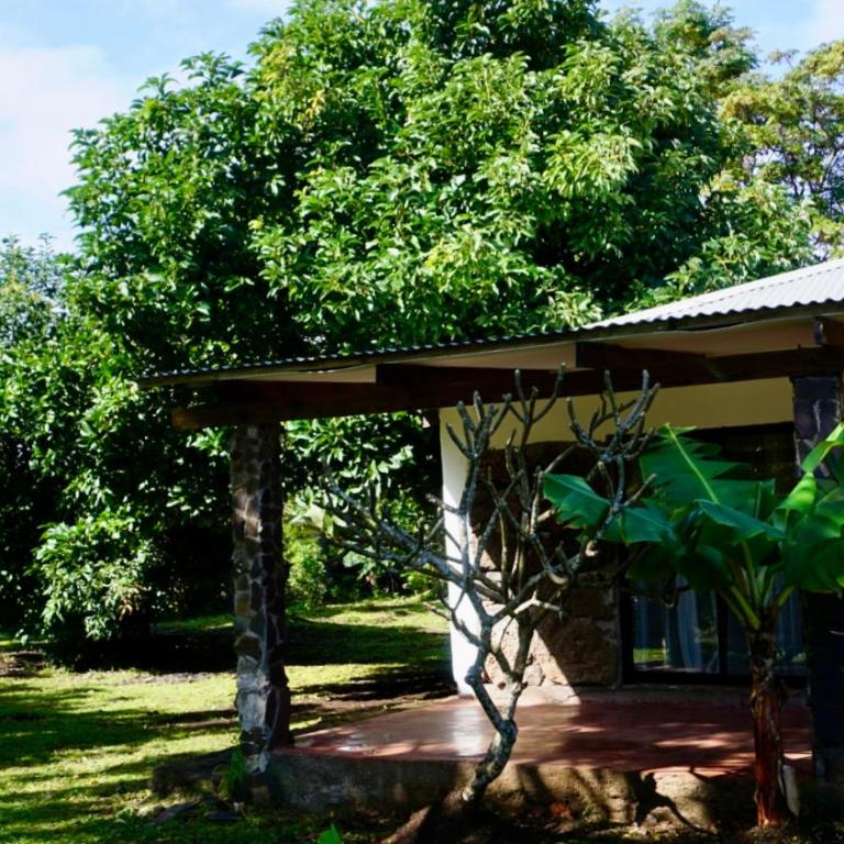 Tai Rapa Nui - Three-Bedroom House - 18