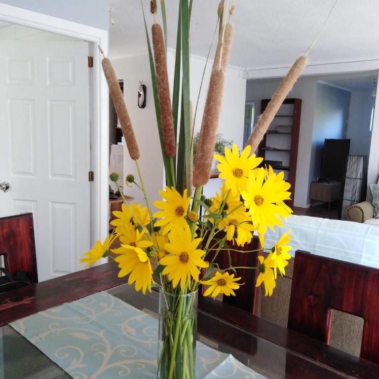 Casa de campo - Casa de 2 dormitorios - 36