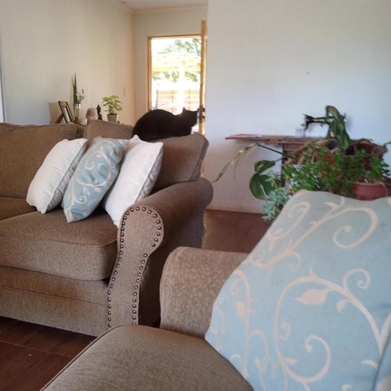 Casa de campo - Casa de 2 dormitorios - 45