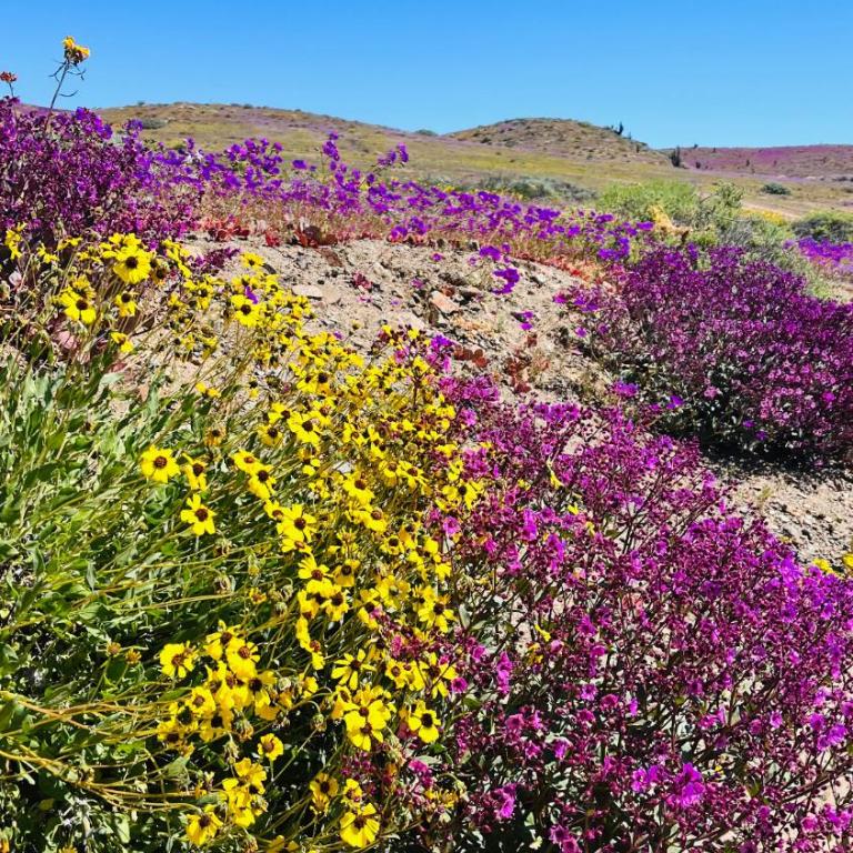 Departamento en Bahía Inglesa full equipado - Wifi y cable - Apartamento de 2 dormitorios - 10