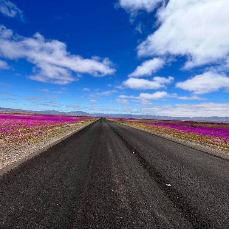 Departamento en Bahía Inglesa full equipado - Wifi y cable - Apartamento de 2 dormitorios - 7