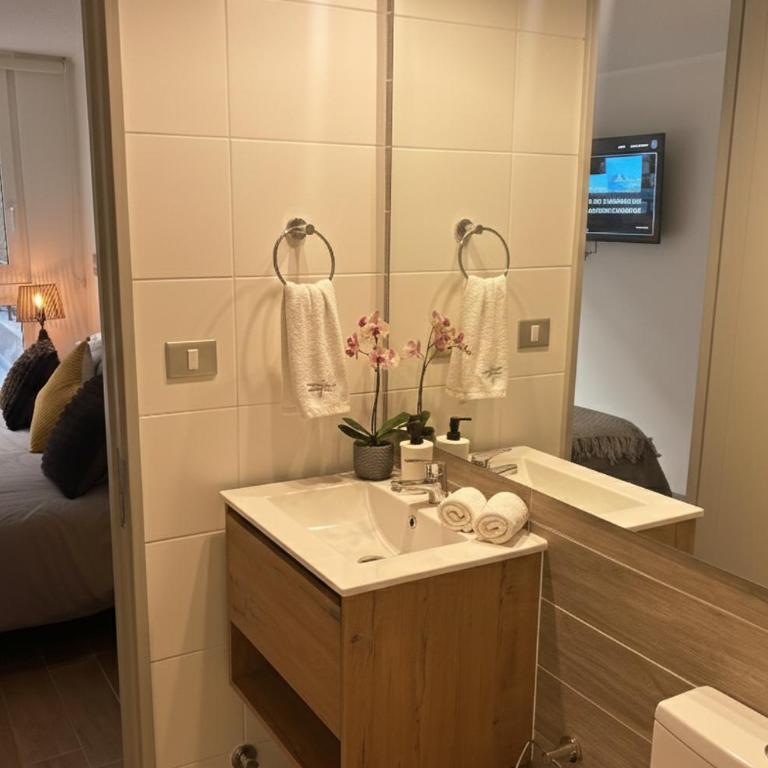 Santiago Centro I Eventos Movistar Arena - One-Bedroom Apartment - 5