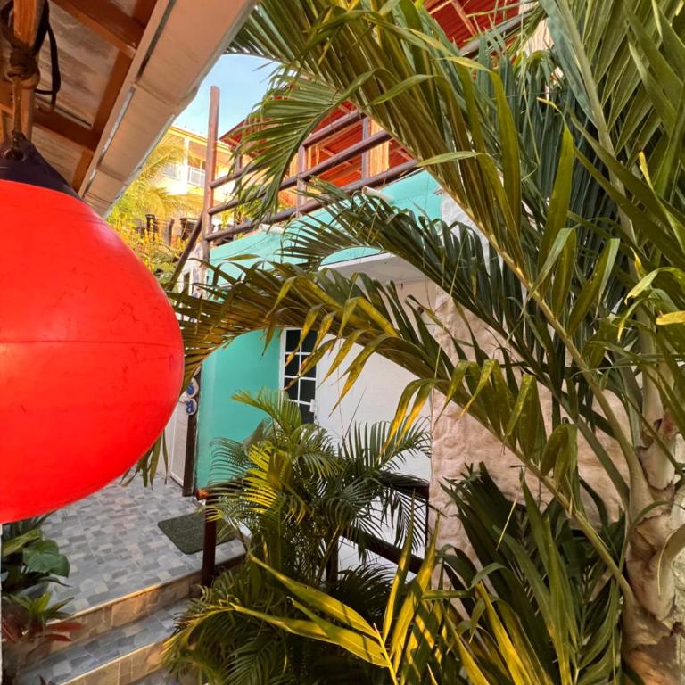 Sunrise view posada - Habitación Doble Grande - 12