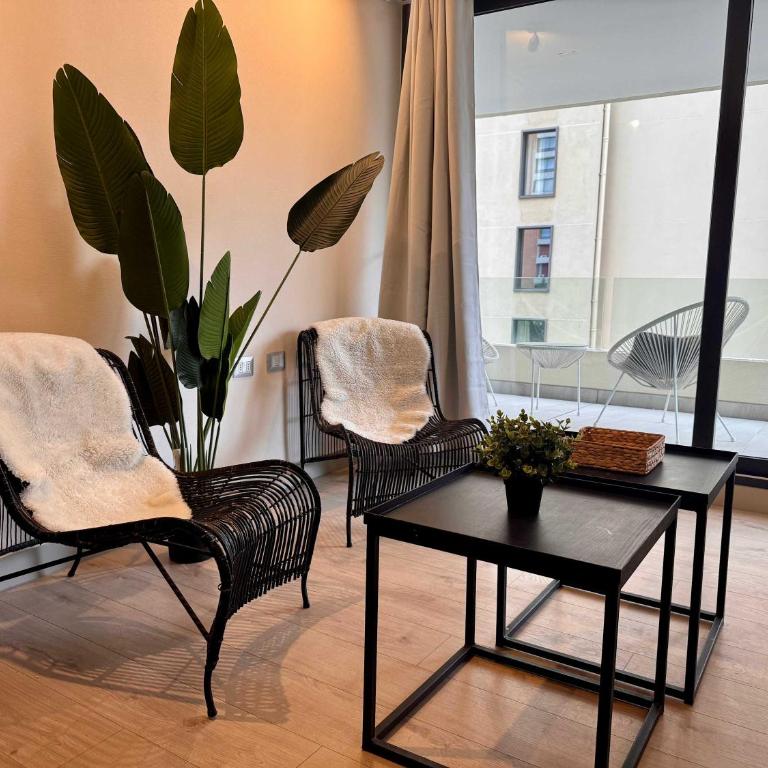 Nuevo y Comodo excelente ubicacion - Apartamento - 14