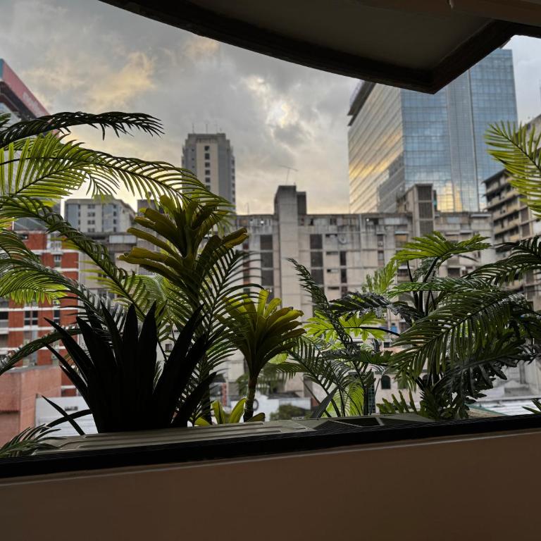 Hospedaje Premium en Bello monte-Sabana grande - Apartamento de 2 dormitorios - 8