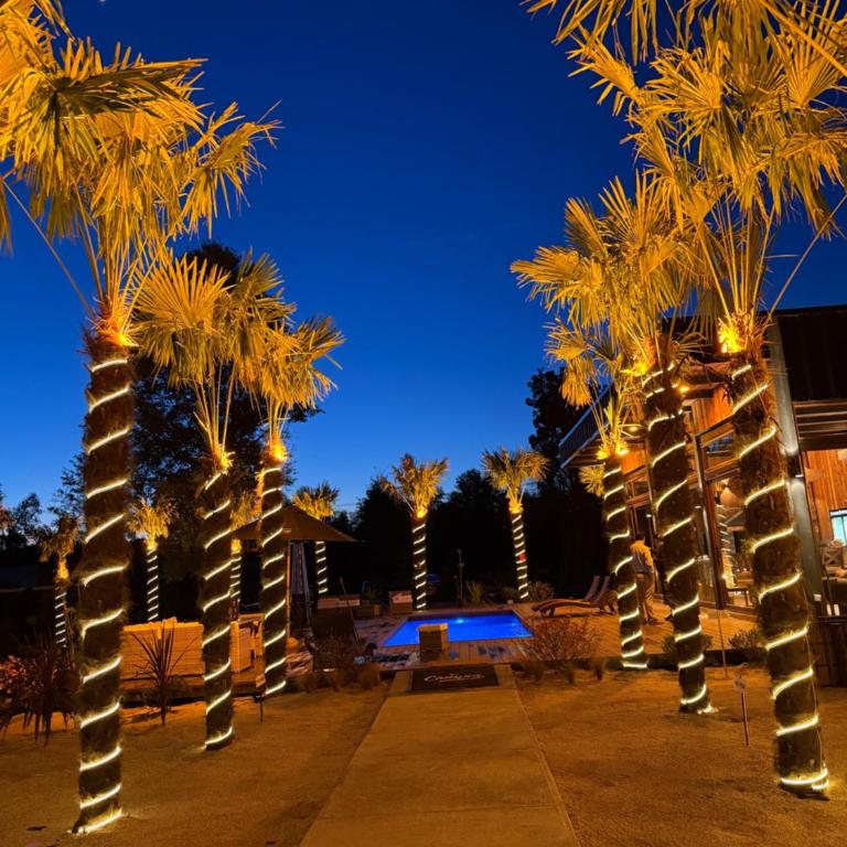 Cabañas Del Sur - Two-Bedroom House - 1