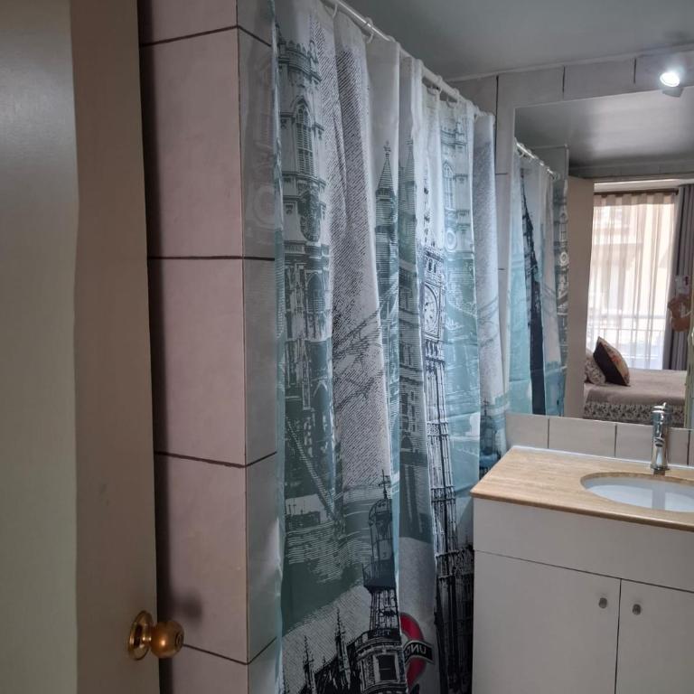 Santiago Skyline Suites - One-Bedroom Apartment - 10