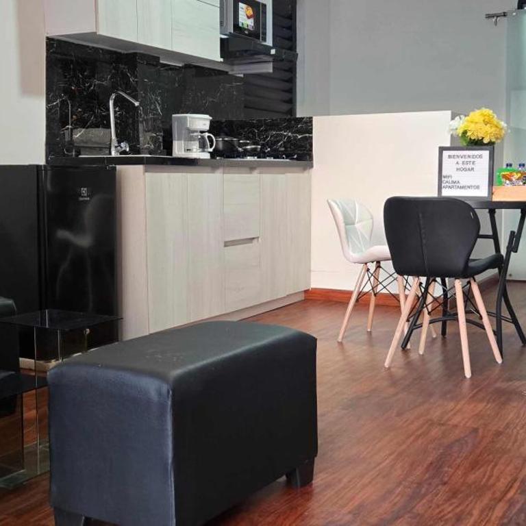 Comfortable apartamento 502 - One-Bedroom Apartment - 8