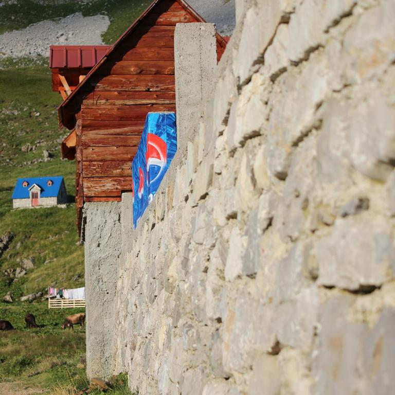 Rural Household MINIĆ - Kapetanovo jezero - Dvokrevetna Soba sa Zasebnim Krevetima i Zajedničkim Kupatilom - 8