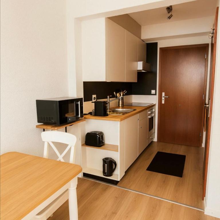 Vue imprenable sur les Alpes et Parking privé gratuit - Appartement 1 Chambre - 13