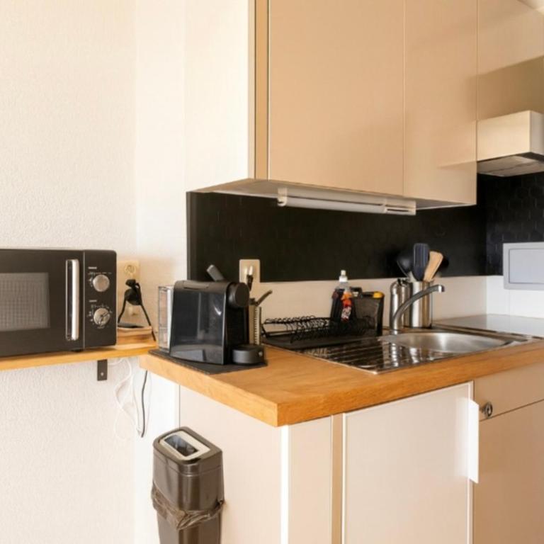 Vue imprenable sur les Alpes et Parking privé gratuit - Appartement 1 Chambre - 8