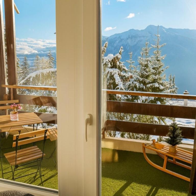Vue imprenable sur les Alpes et Parking privé gratuit - Appartement 1 Chambre - 4