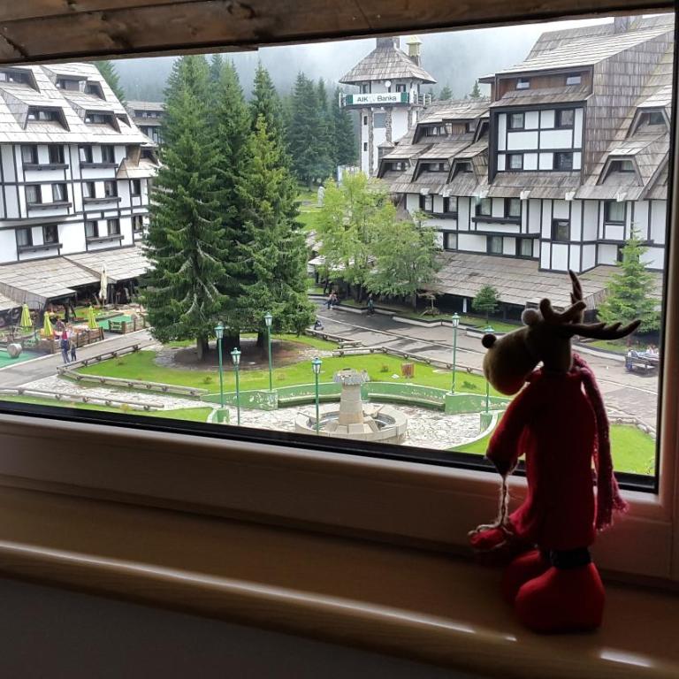 Apartmani Kopaonik Centar Maglic - Deluxe Apartment - 5
