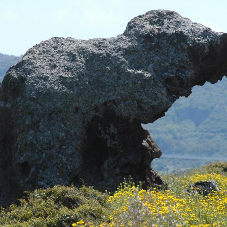 Sogno di Rena - Appartamento con Vista Mare - 33