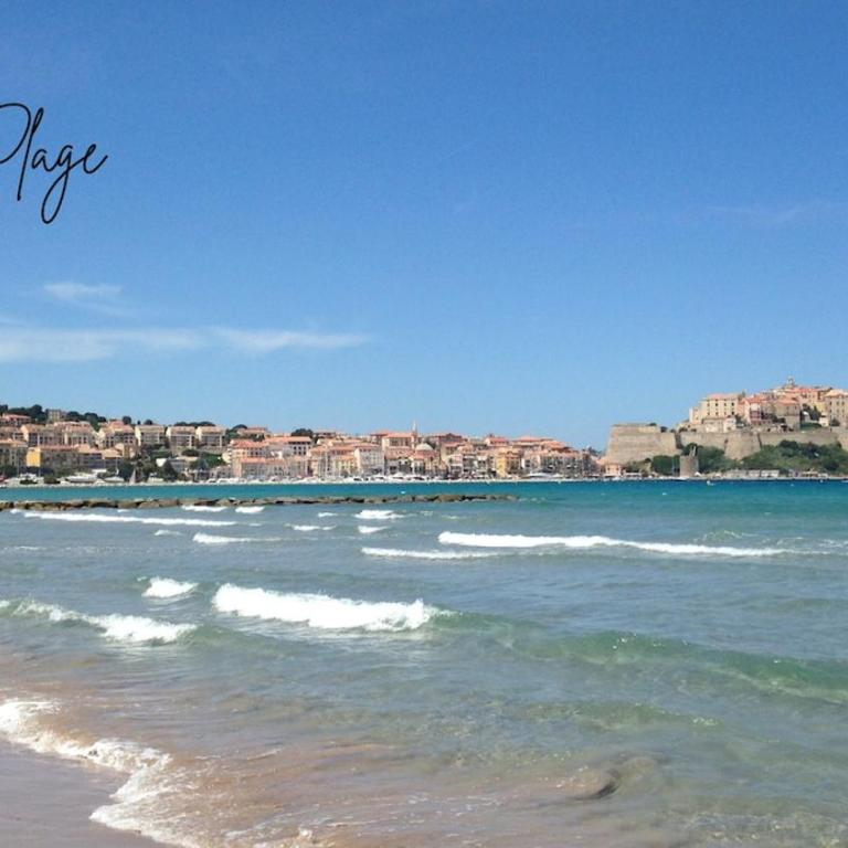 Appartement Le Millie 3 chambres Hyper centre - Appartement 3 Chambres - Vue sur Mer - 31