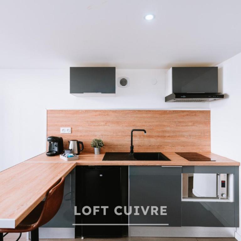 Les Lofts Stéphanois - Au cœur de Sainte-Etienne - Estudio Dúplex - 10