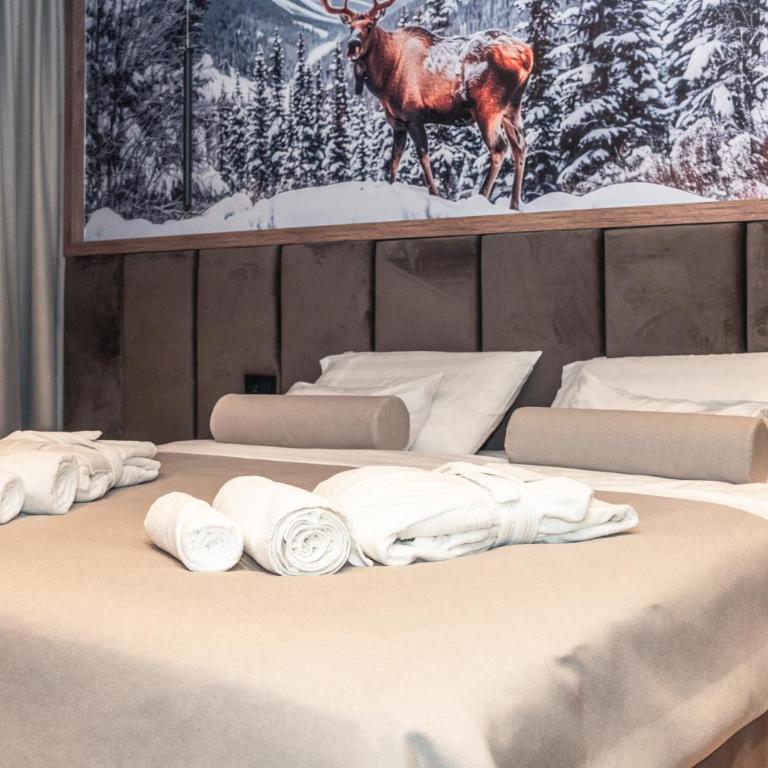 Apart-hotel Pahulja - Apartment with Mountain View - 4