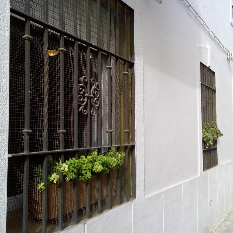 Apartamento San Agustín - Apartamento - 38