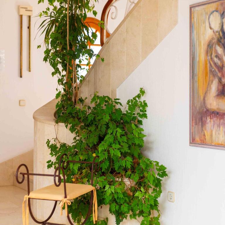 Es Mollet de Barcares - Casa - 58