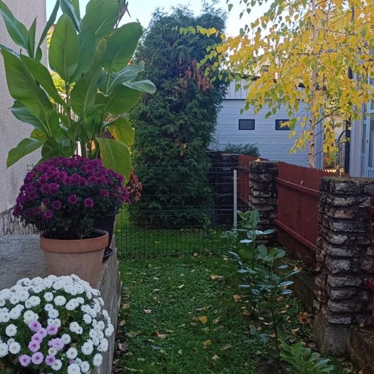 Apartman Bihać SviMi - Two-Bedroom Apartment - 4